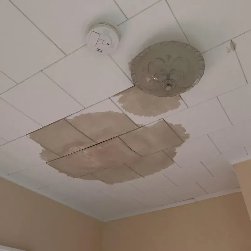 Ceiling Water Damage Repair in Littleton Common, MA